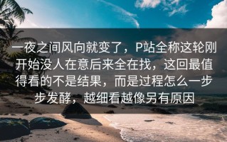 一夜之间风向就变了，P站全称这轮刚开始没人在意后来全在找，这回最值得看的不是结果，而是过程怎么一步步发酵，越细看越像另有原因