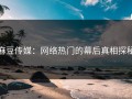 麻豆传媒：网络热门的幕后真相探秘