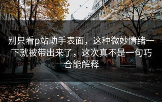 别只看p站助手表面，这种微妙情绪一下就被带出来了，这次真不是一句巧合能解释