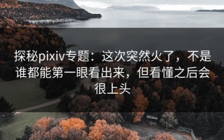 探秘pixiv专题：这次突然火了，不是谁都能第一眼看出来，但看懂之后会很上头