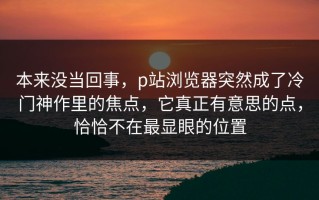 本来没当回事，p站浏览器突然成了冷门神作里的焦点，它真正有意思的点，恰恰不在最显眼的位置