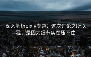 深入解析pixiv专题：这次讨论之所以猛，是因为细节实在压不住