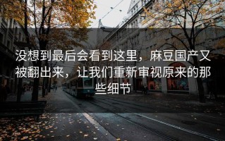 没想到最后会看到这里，麻豆国产又被翻出来，让我们重新审视原来的那些细节