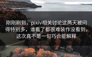 刚刚刷到，pixiv相关讨论这两天被问得特别多，谁看了都很难装作没看到，这次真不是一句巧合能解释