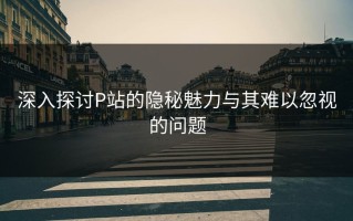 深入探讨P站的隐秘魅力与其难以忽视的问题