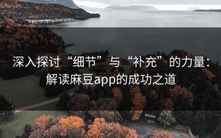 深入探讨“细节”与“补充”的力量：解读麻豆app的成功之道