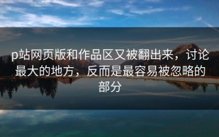 p站网页版和作品区又被翻出来，讨论最大的地方，反而是最容易被忽略的部分