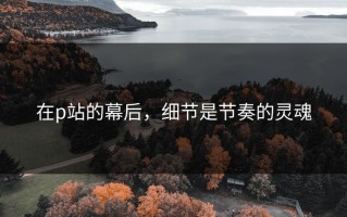 在p站的幕后，细节是节奏的灵魂