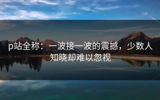p站全称：一波接一波的震撼，少数人知晓却难以忽视