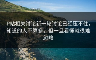 P站相关讨论新一轮讨论已经压不住，知道的人不算多，但一旦看懂就很难忽略