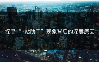 探寻“P站助手”现象背后的深层原因