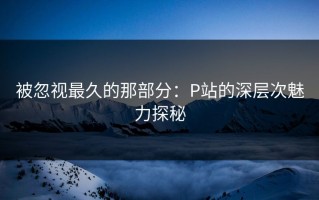 被忽视最久的那部分：P站的深层次魅力探秘
