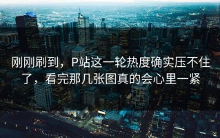 刚刚刷到，P站这一轮热度确实压不住了，看完那几张图真的会心里一紧