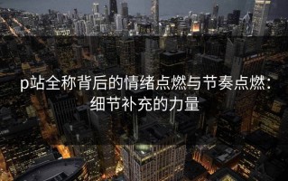p站全称背后的情绪点燃与节奏点燃：细节补充的力量