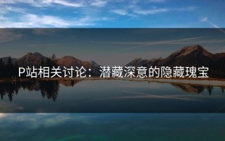 P站相关讨论：潜藏深意的隐藏瑰宝
