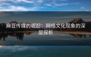 麻豆传媒的崛起：网络文化现象的深层探析