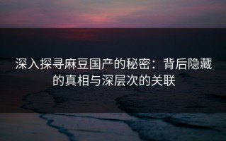 深入探寻麻豆国产的秘密：背后隐藏的真相与深层次的关联