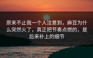 原来不止我一个人注意到，麻豆为什么突然火了，真正把节奏点燃的，是后来补上的细节