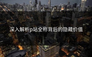 深入解析p站全称背后的隐藏价值