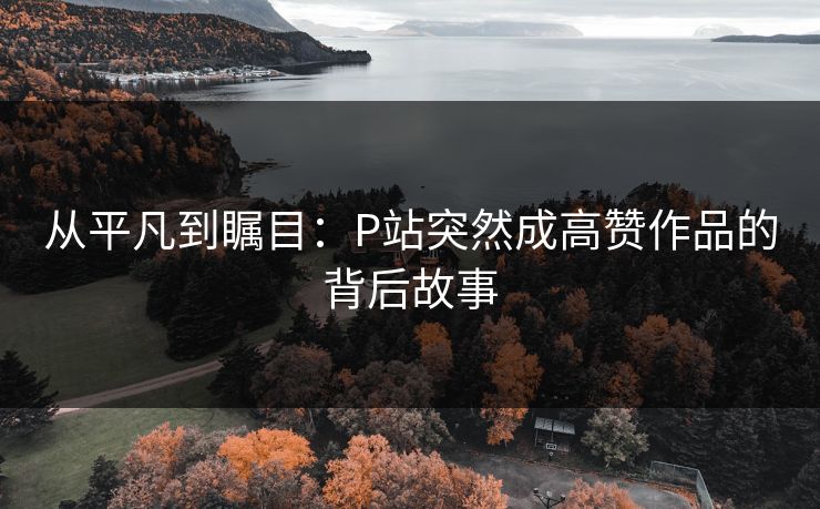 从平凡到瞩目：P站突然成高赞作品的背后故事-第1张图片-p站自媒体 | p站网页版内容站