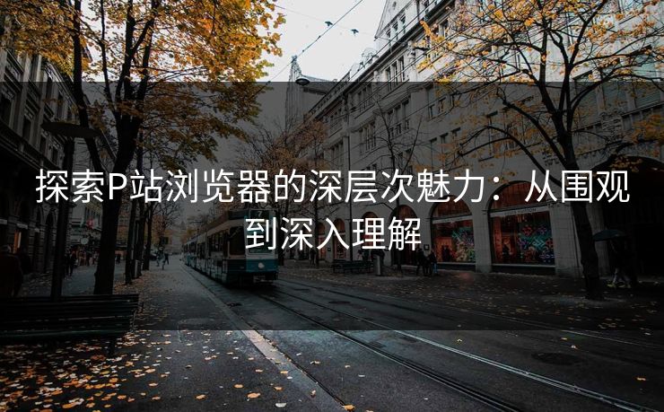 探索P站浏览器的深层次魅力：从围观到深入理解-第1张图片-p站自媒体 | p站网页版内容站