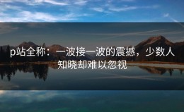 p站全称：一波接一波的震撼，少数人知晓却难以忽视